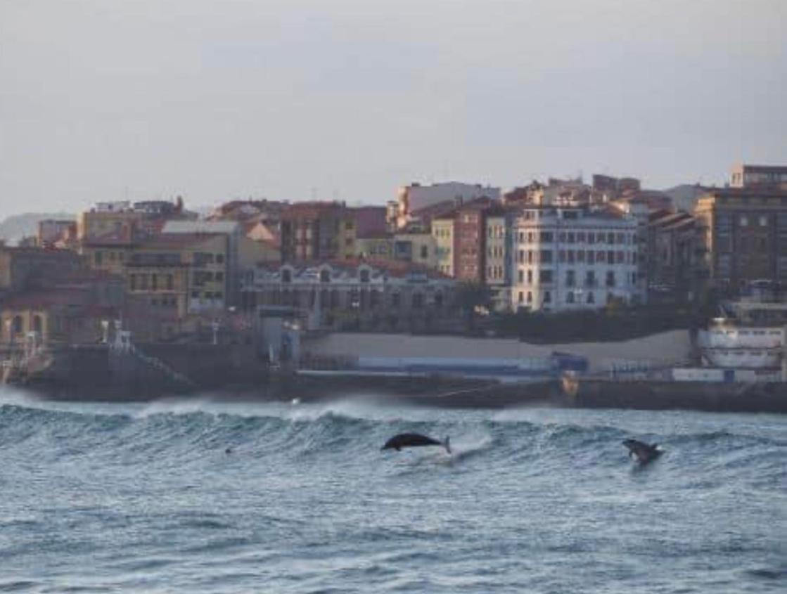 Alojamientos Muelle de Gijón Exterior foto